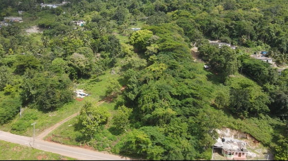Second image of Melrose Hill in Porus, Manchester, Jamaica - property is For Sale
