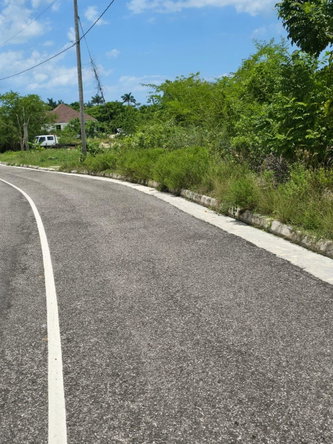 Eighth image of Lot 65- Palmbrook Estate Lacovia in Lacovia, St. Elizabeth, Jamaica - property is For Sale