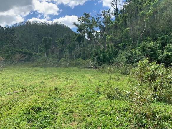 First image of Lot 145 Unity in Bunkers Hill, Trelawny, Jamaica - property is For Sale