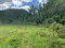 First image of Lot 145 Unity in Bunkers Hill, Trelawny, Jamaica - property is For Sale