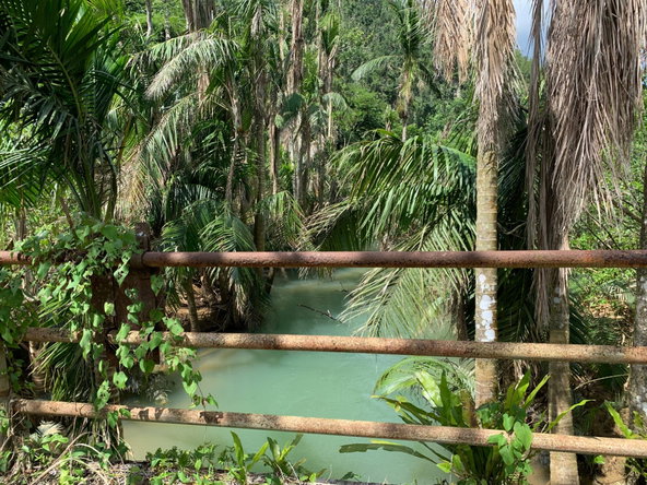 Fourteenth image of Lot 145 Unity in Bunkers Hill, Trelawny, Jamaica - property is For Sale