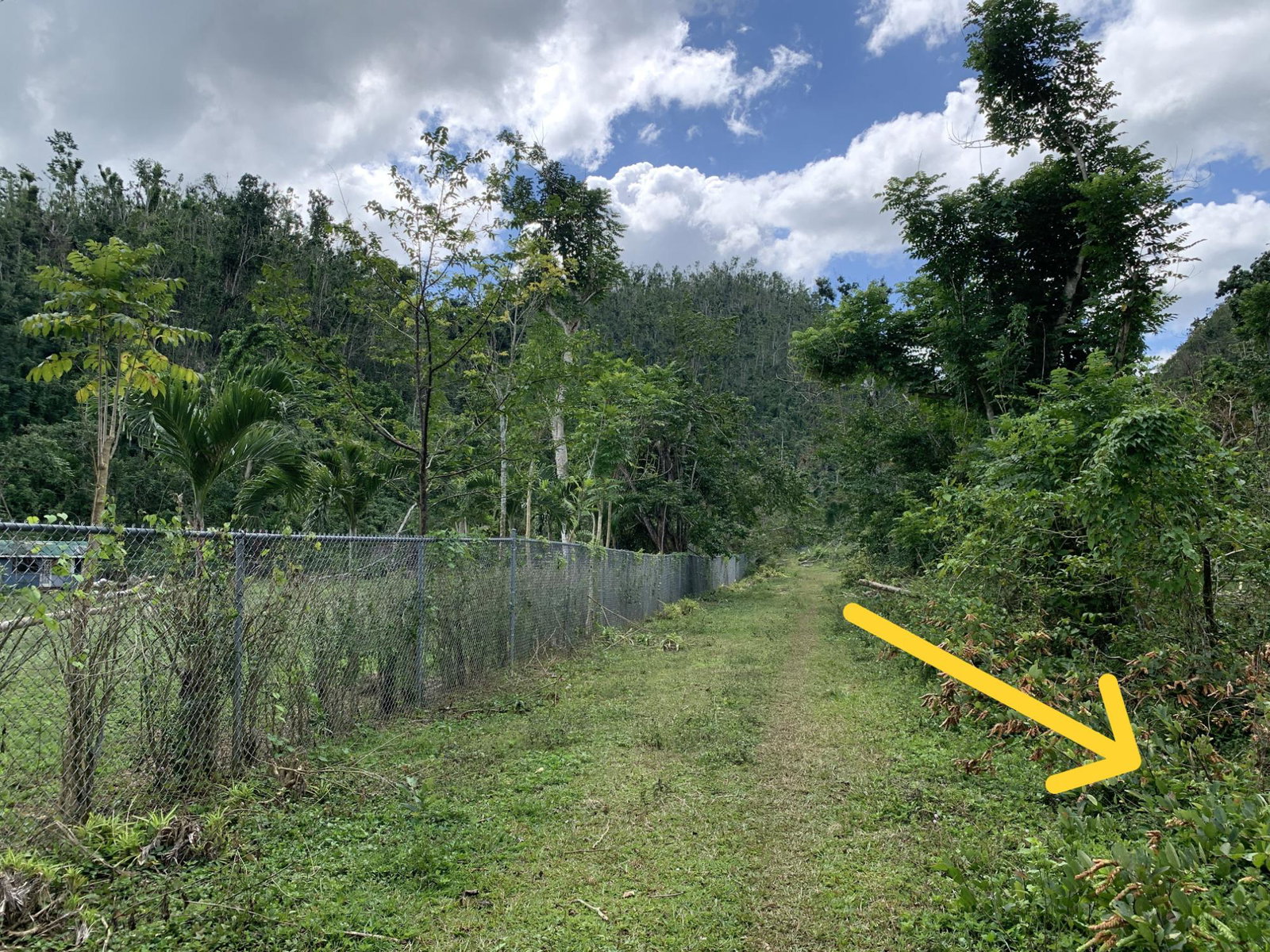 Eighteenth image of Lot 145 Unity in Bunkers Hill, Trelawny, Jamaica - property is For Sale