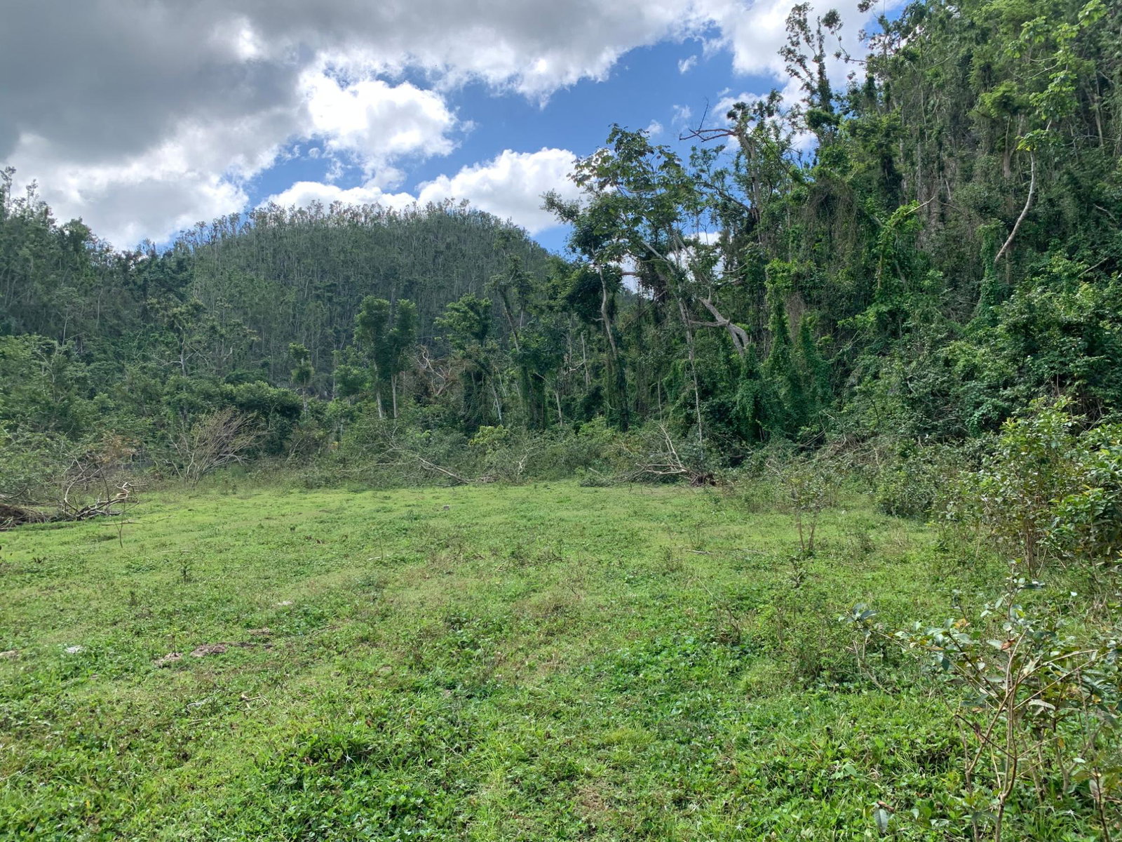 Second image of Lot 145 Unity in Bunkers Hill, Trelawny, Jamaica - property is For Sale