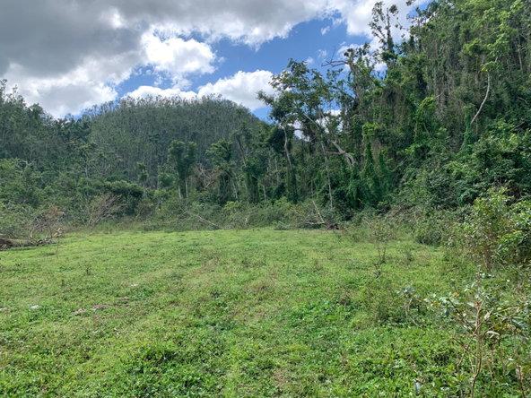 Second image of Lot 145 Unity in Bunkers Hill, Trelawny, Jamaica - property is For Sale