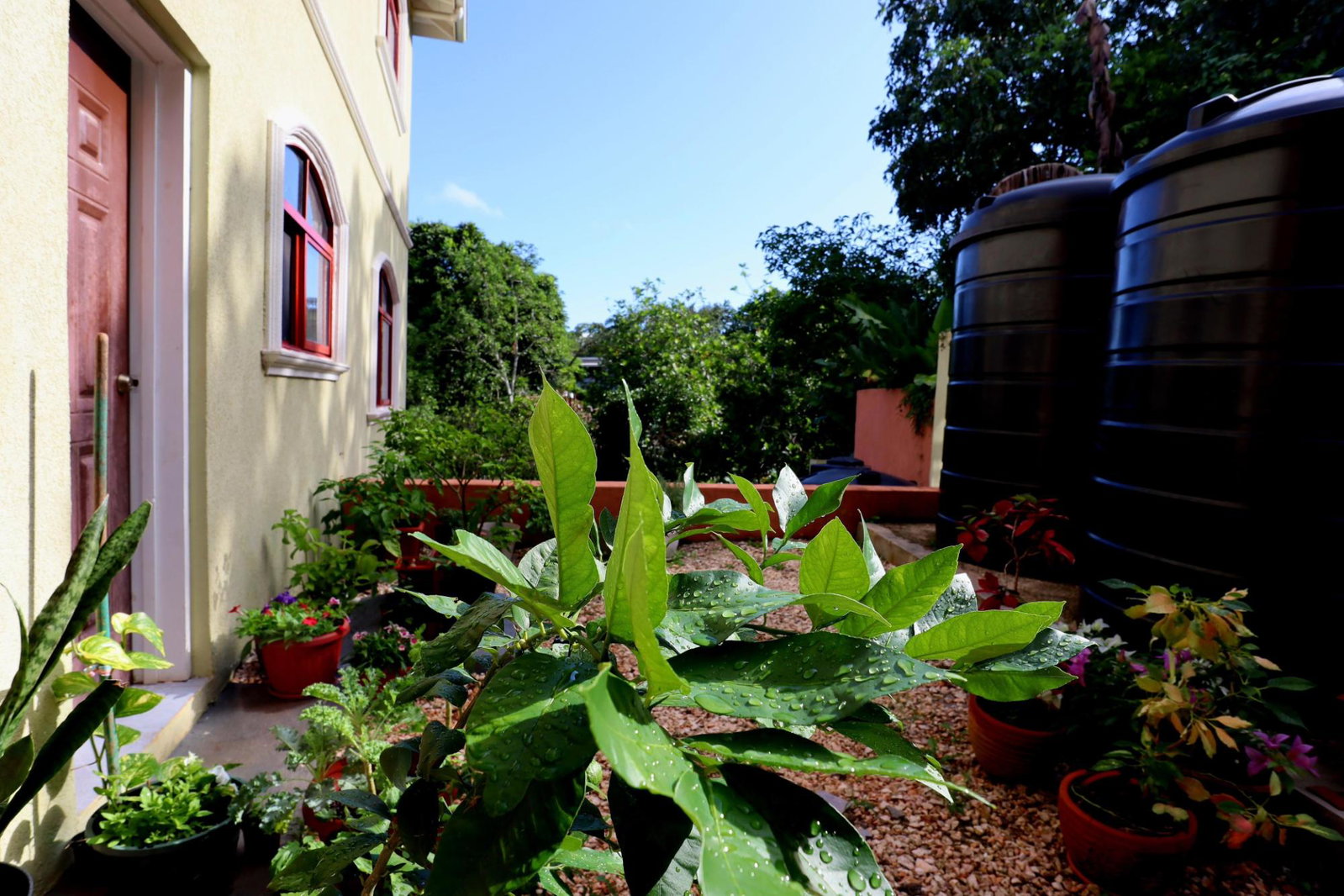 Eighteenth image of 12-2a Decarteret Road in Mandeville, Manchester, Jamaica - property is For Rent