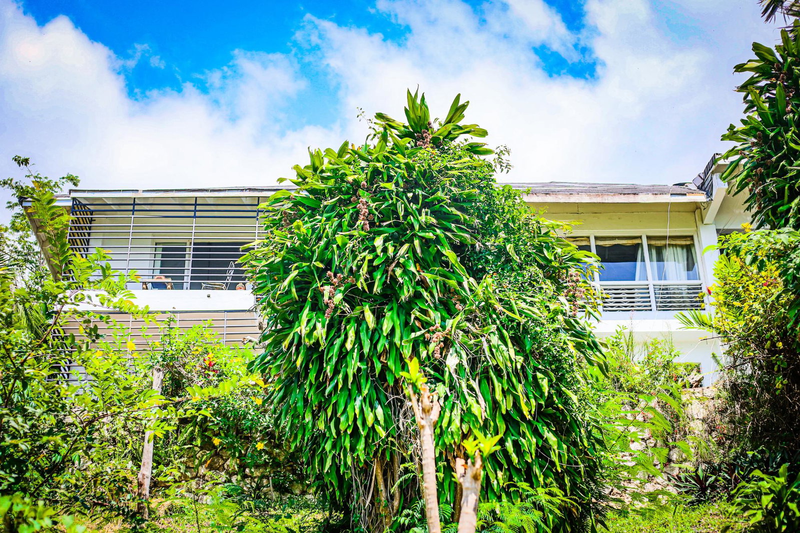 Twenty-Ninth image of Edgehill , Skyline Drive in Kingston 6, St. Andrew, Jamaica - property is For Sale