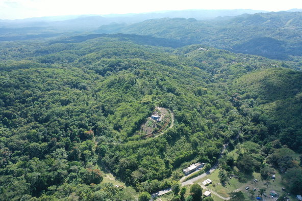 Fourth image of Eden Estate in Mount Carey, St. James, Jamaica - property is For Sale