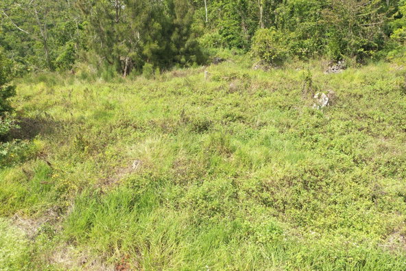 First image of Dunsinane Heights in Mandeville, Manchester, Jamaica - property is For Sale
