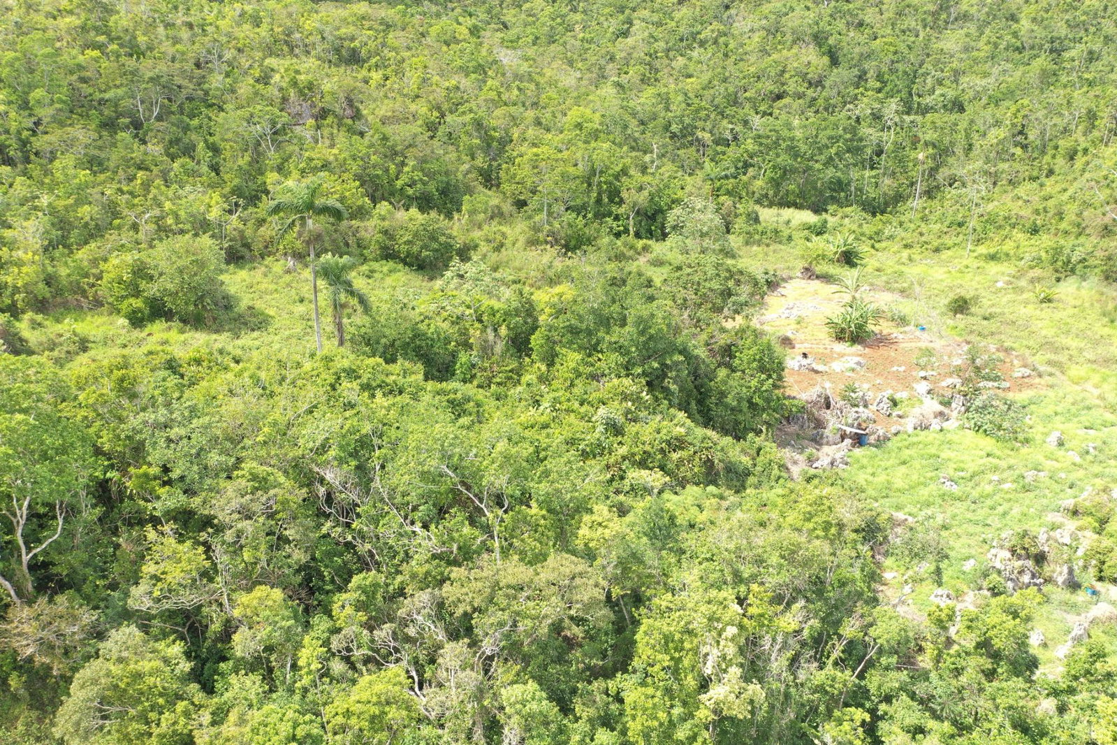 Twelfth image of Dunsinane Heights in Mandeville, Manchester, Jamaica - property is For Sale