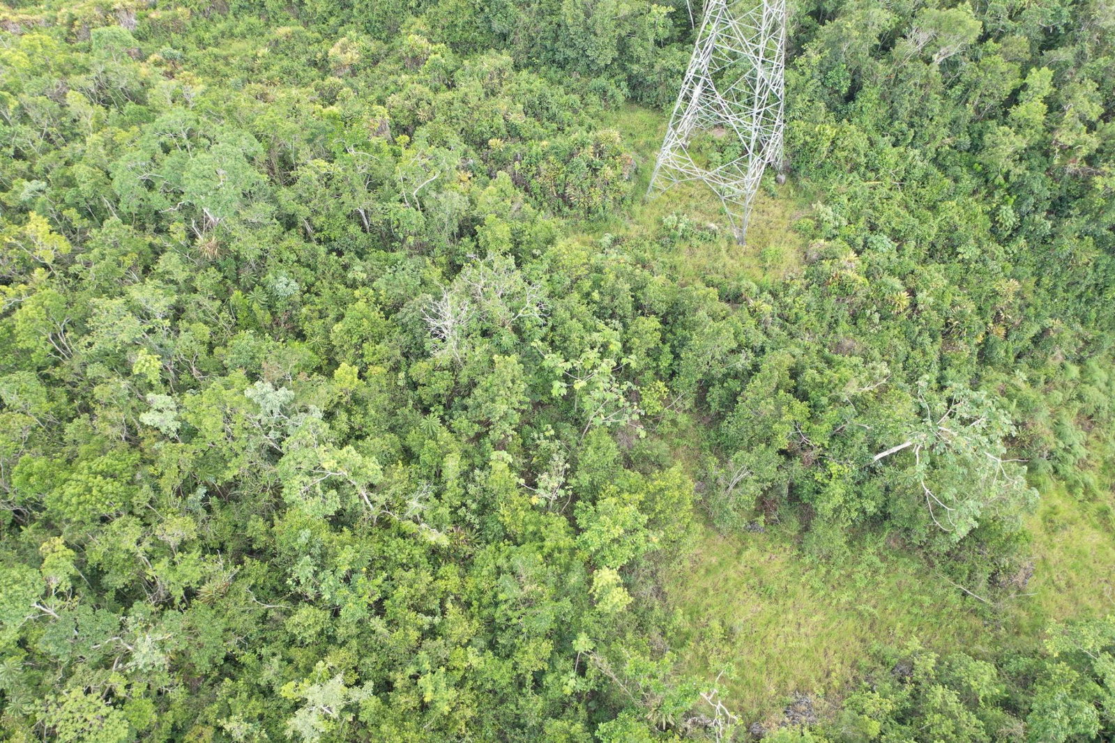Eighteenth image of Dunsinane Heights in Mandeville, Manchester, Jamaica - property is For Sale