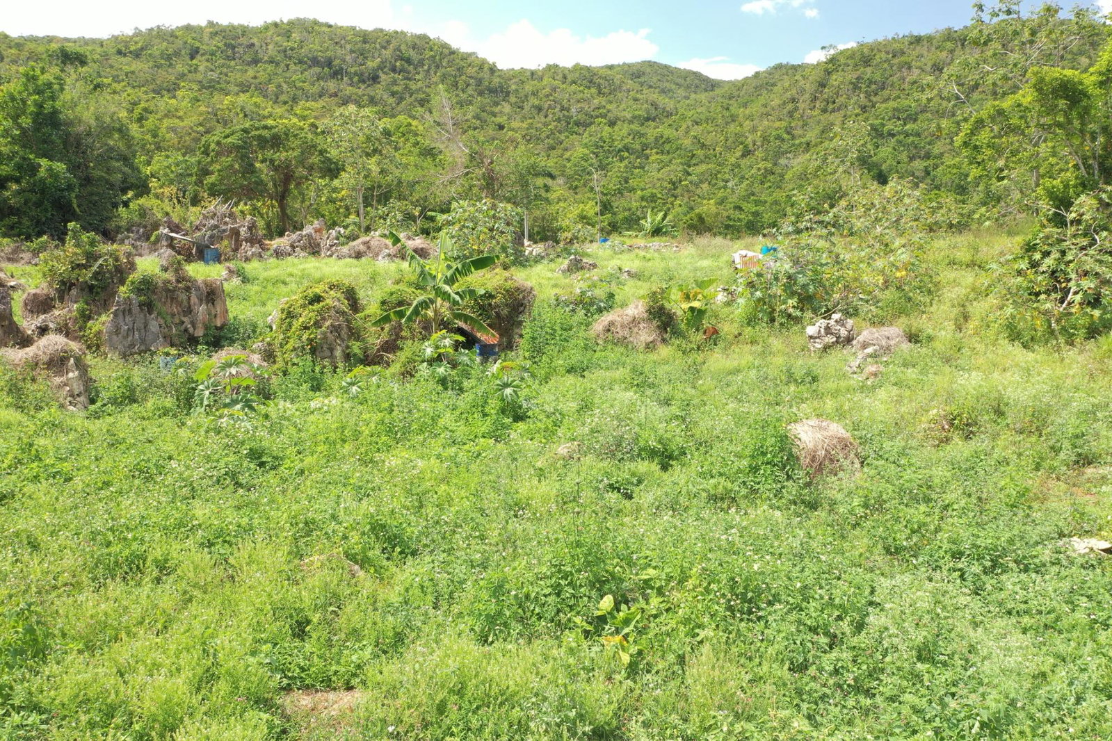 Second image of Dunsinane Heights in Mandeville, Manchester, Jamaica - property is For Sale