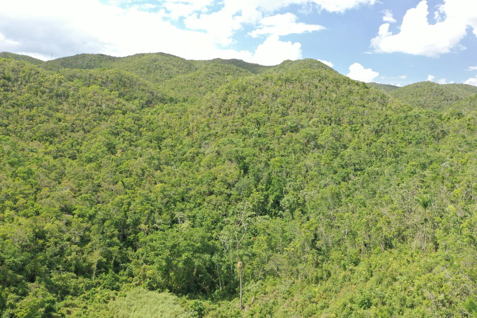 Twenty-Fourth image of Dunsinane Heights in Mandeville, Manchester, Jamaica - property is For Sale