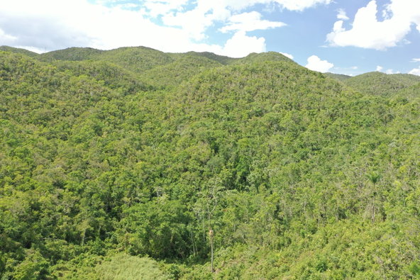 Twenty-Fourth image of Dunsinane Heights in Mandeville, Manchester, Jamaica - property is For Sale