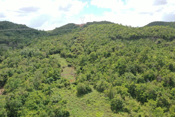Twenty-Fifth image of Dunsinane Heights in Mandeville, Manchester, Jamaica - property is For Sale
