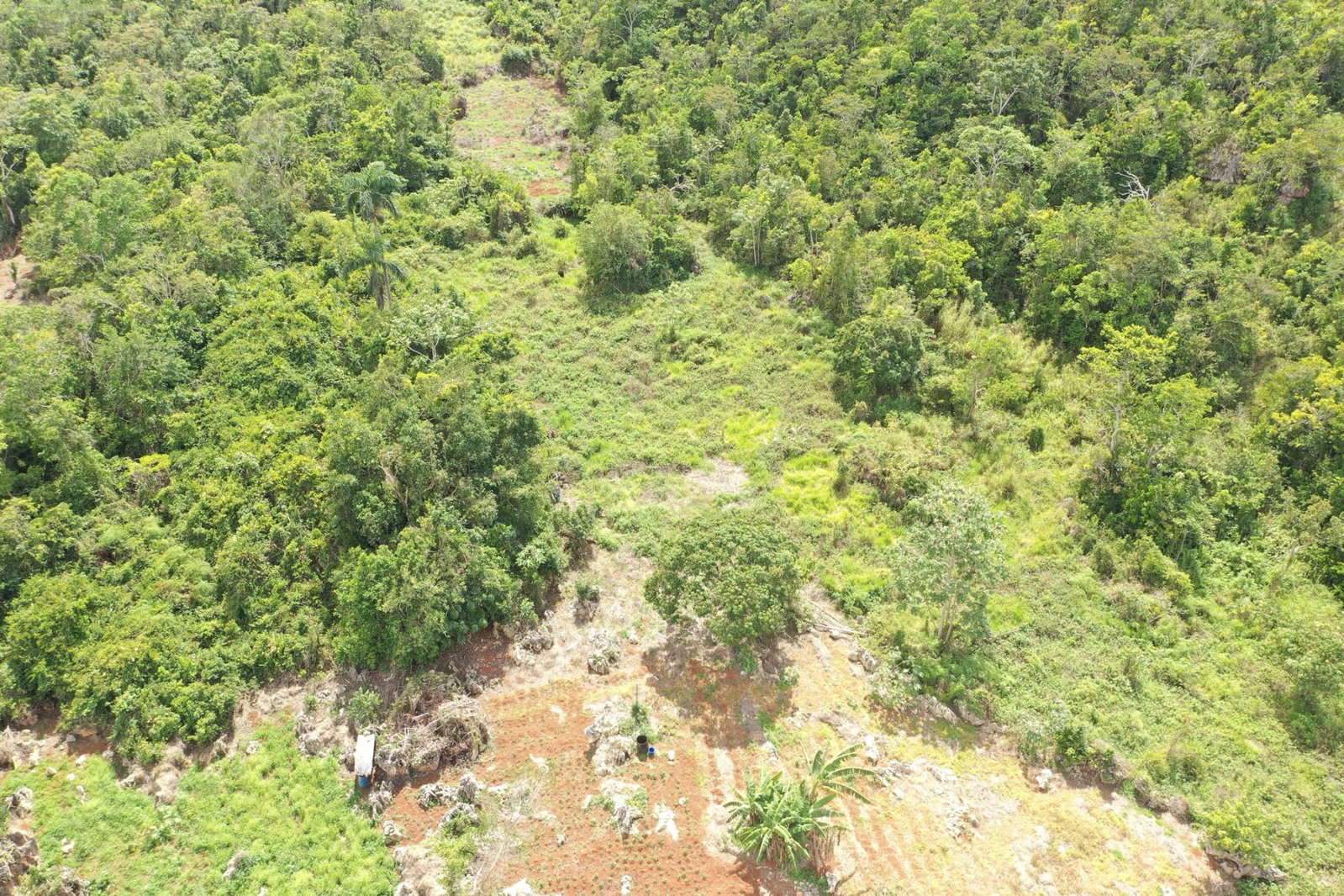 Twenty-Sixth image of Dunsinane Heights in Mandeville, Manchester, Jamaica - property is For Sale