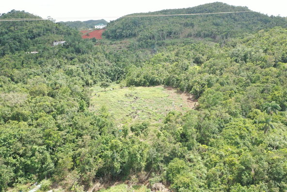 Twenty-Seventh image of Dunsinane Heights in Mandeville, Manchester, Jamaica - property is For Sale
