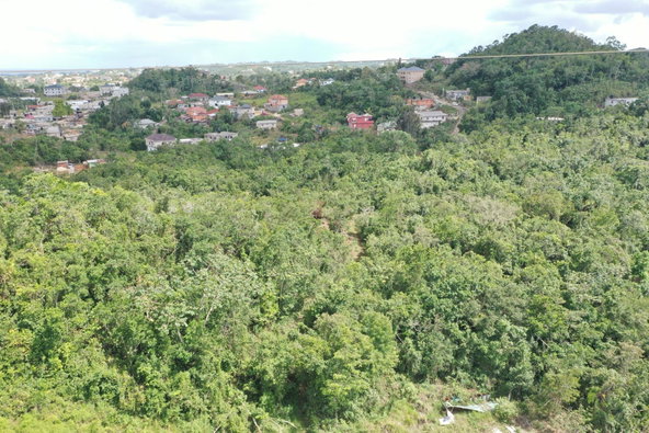 Twenty-Eighth image of Dunsinane Heights in Mandeville, Manchester, Jamaica - property is For Sale