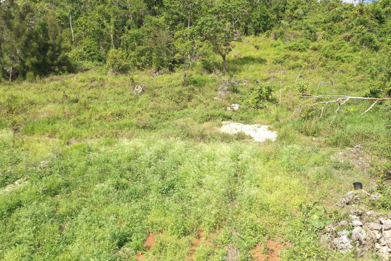 Third image of Dunsinane Heights in Mandeville, Manchester, Jamaica - property is For Sale