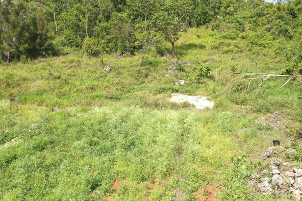 Third image of Dunsinane Heights in Mandeville, Manchester, Jamaica - property is For Sale