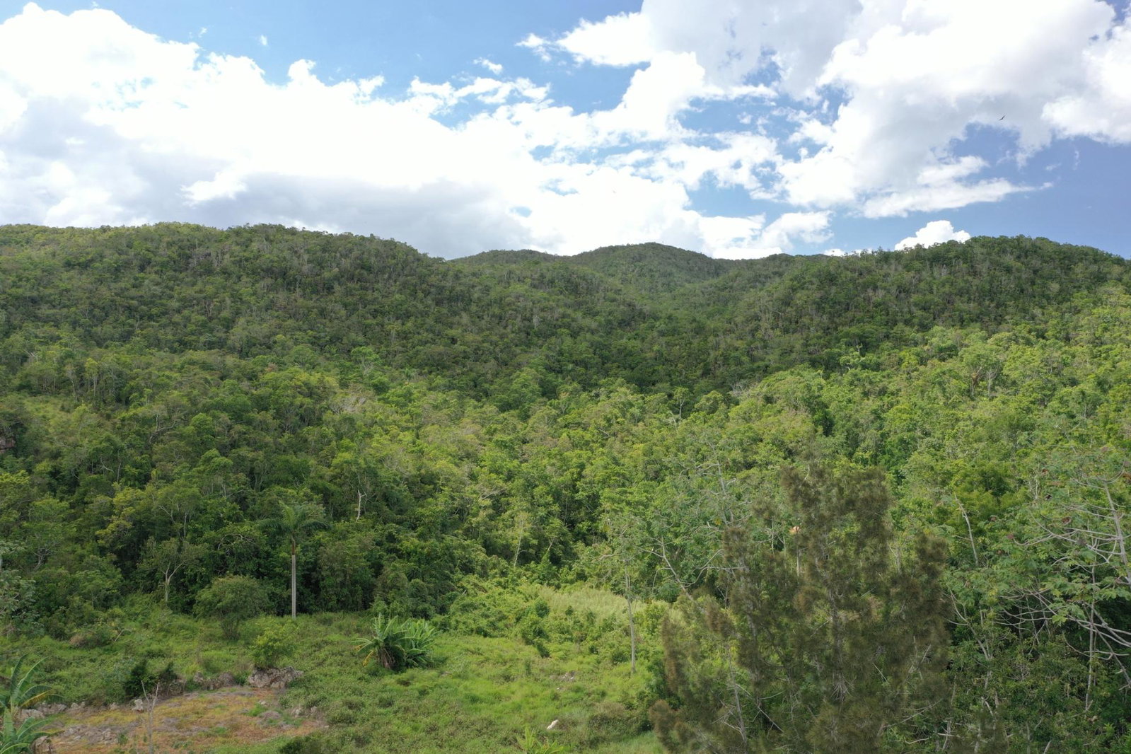 Thirtieth image of Dunsinane Heights in Mandeville, Manchester, Jamaica - property is For Sale