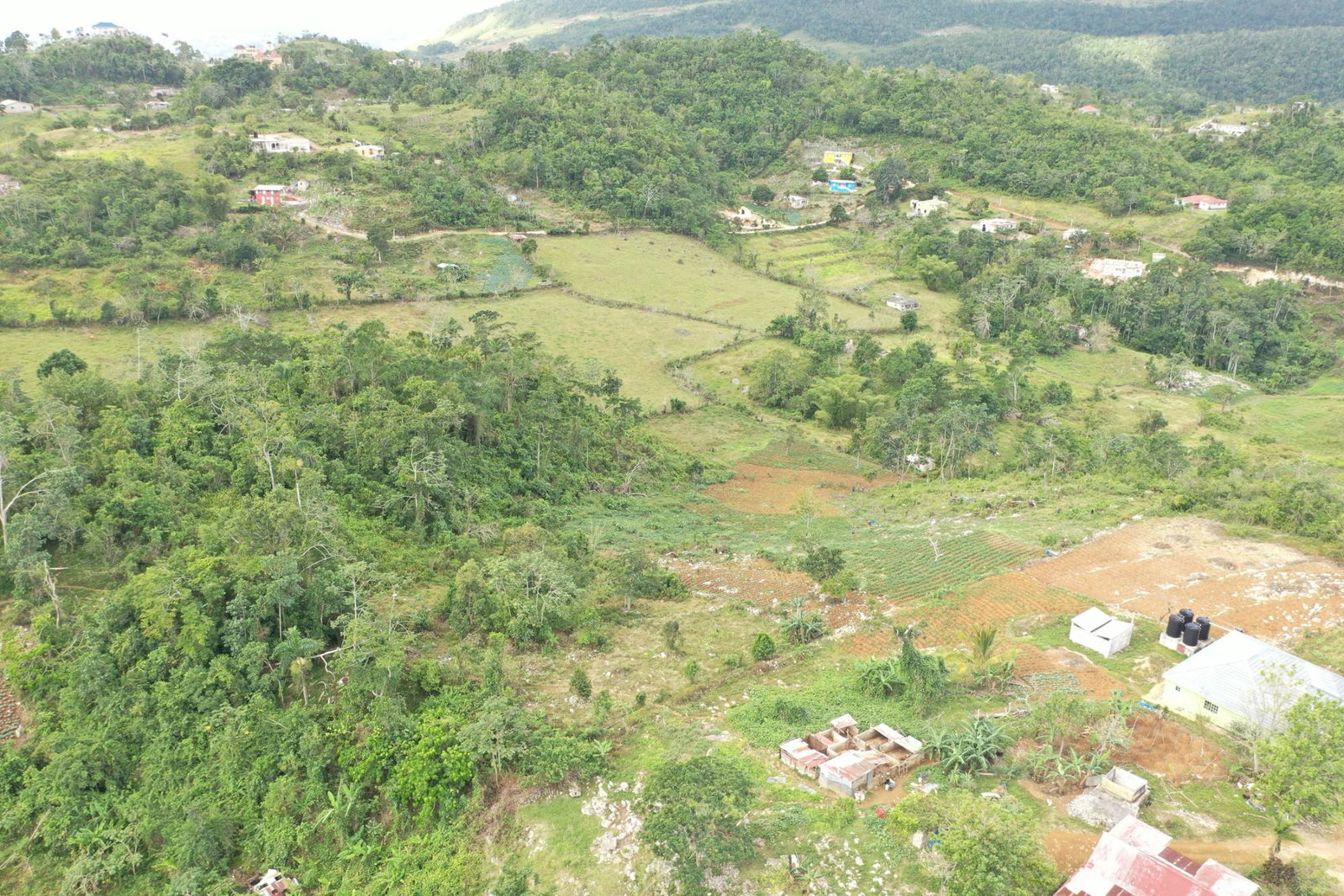 Eleventh image of Mizpah Spitzbergen in Walderston, Manchester, Jamaica - property is For Sale