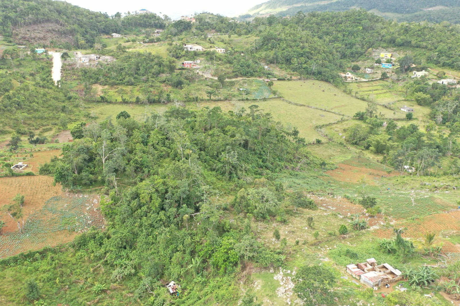 Thirteenth image of Mizpah Spitzbergen in Walderston, Manchester, Jamaica - property is For Sale