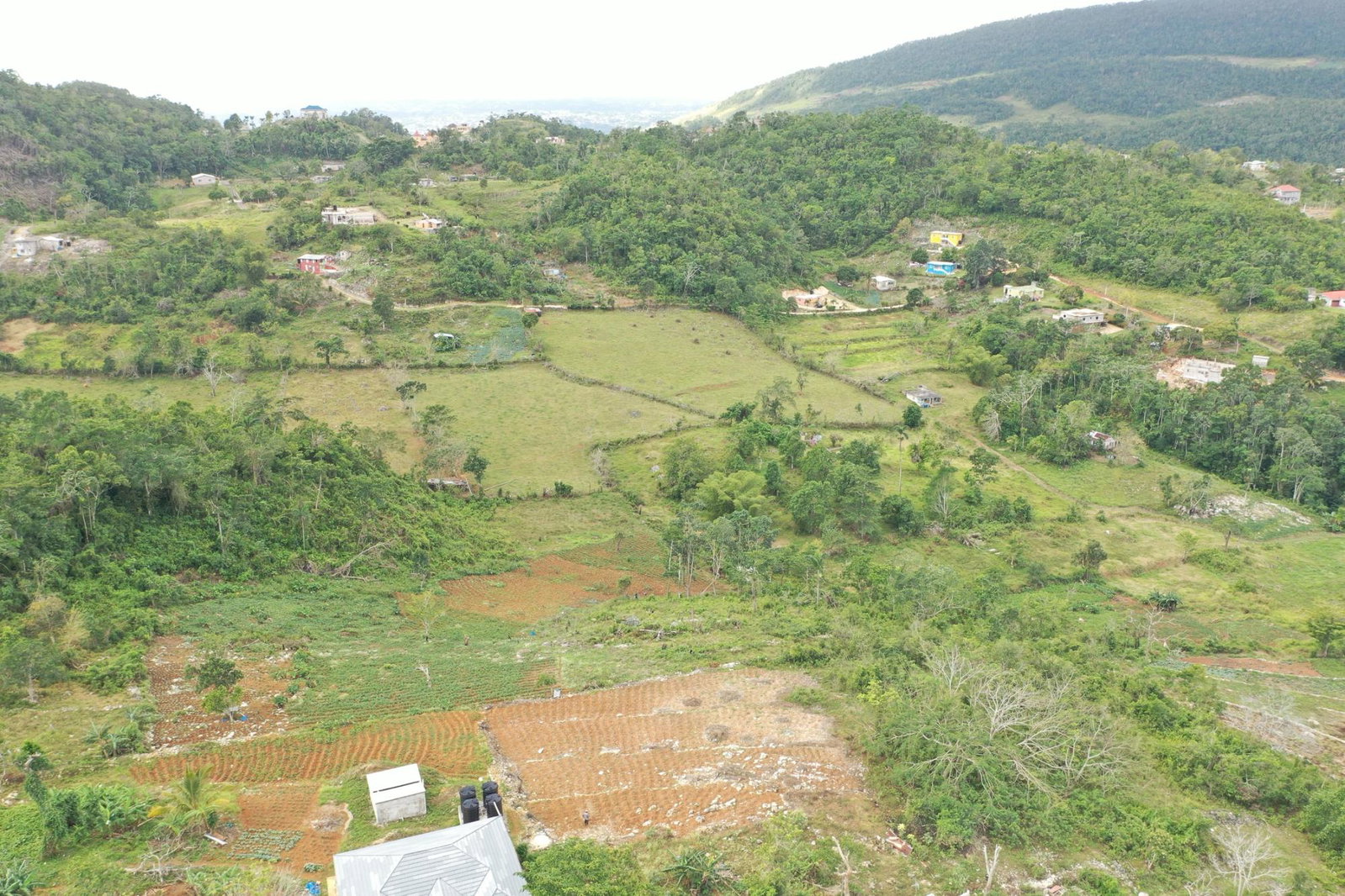 Fourteenth image of Mizpah Spitzbergen in Walderston, Manchester, Jamaica - property is For Sale