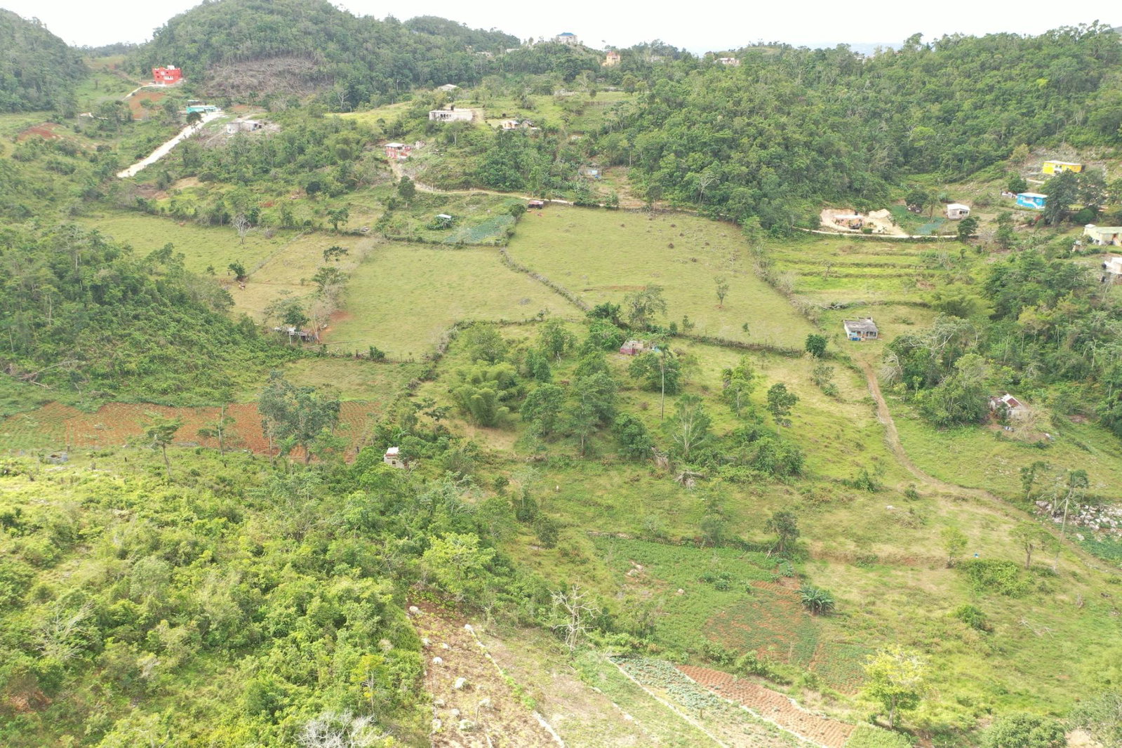 Twenty-Second image of Mizpah Spitzbergen in Walderston, Manchester, Jamaica - property is For Sale