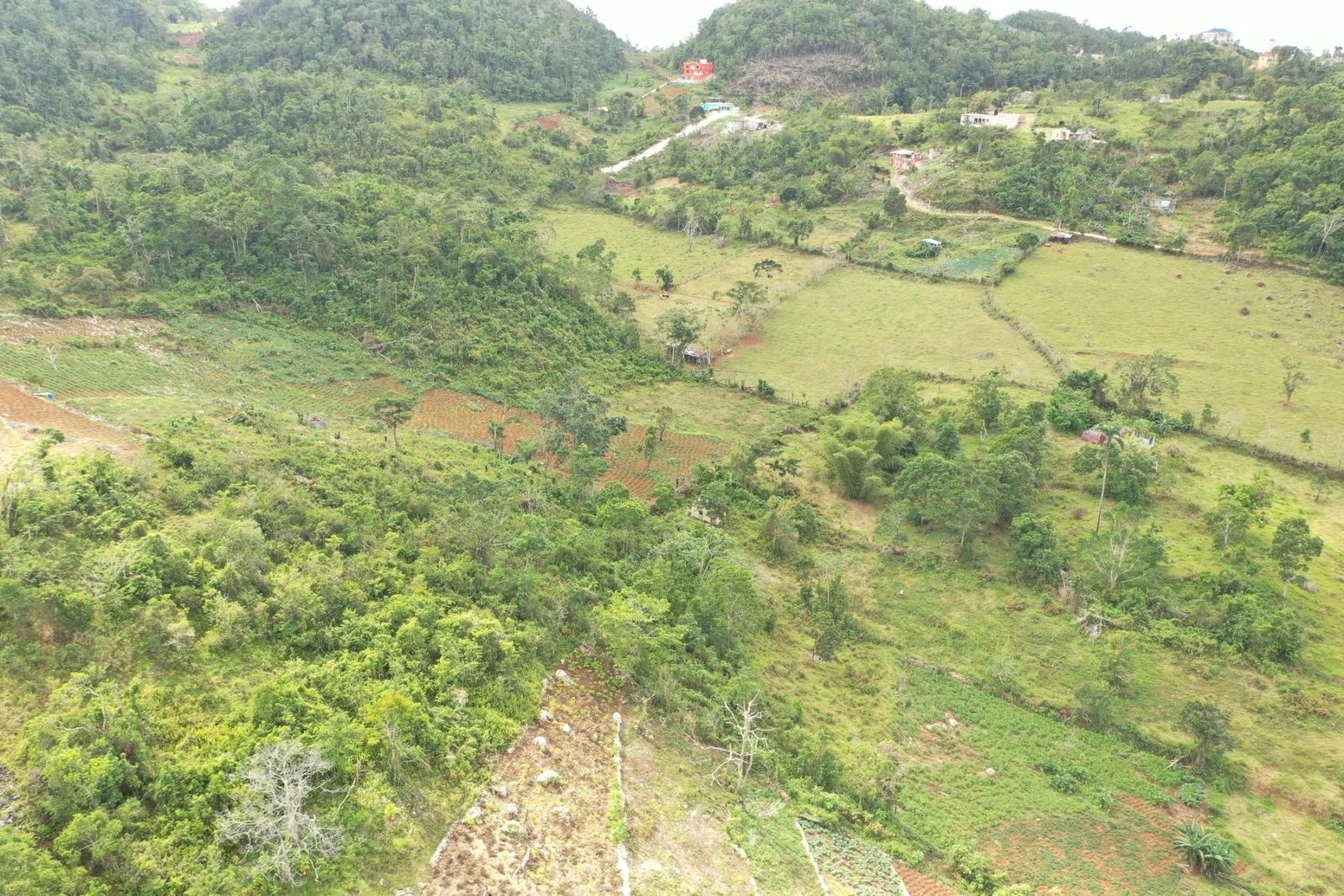 Twenty-Third image of Mizpah Spitzbergen in Walderston, Manchester, Jamaica - property is For Sale