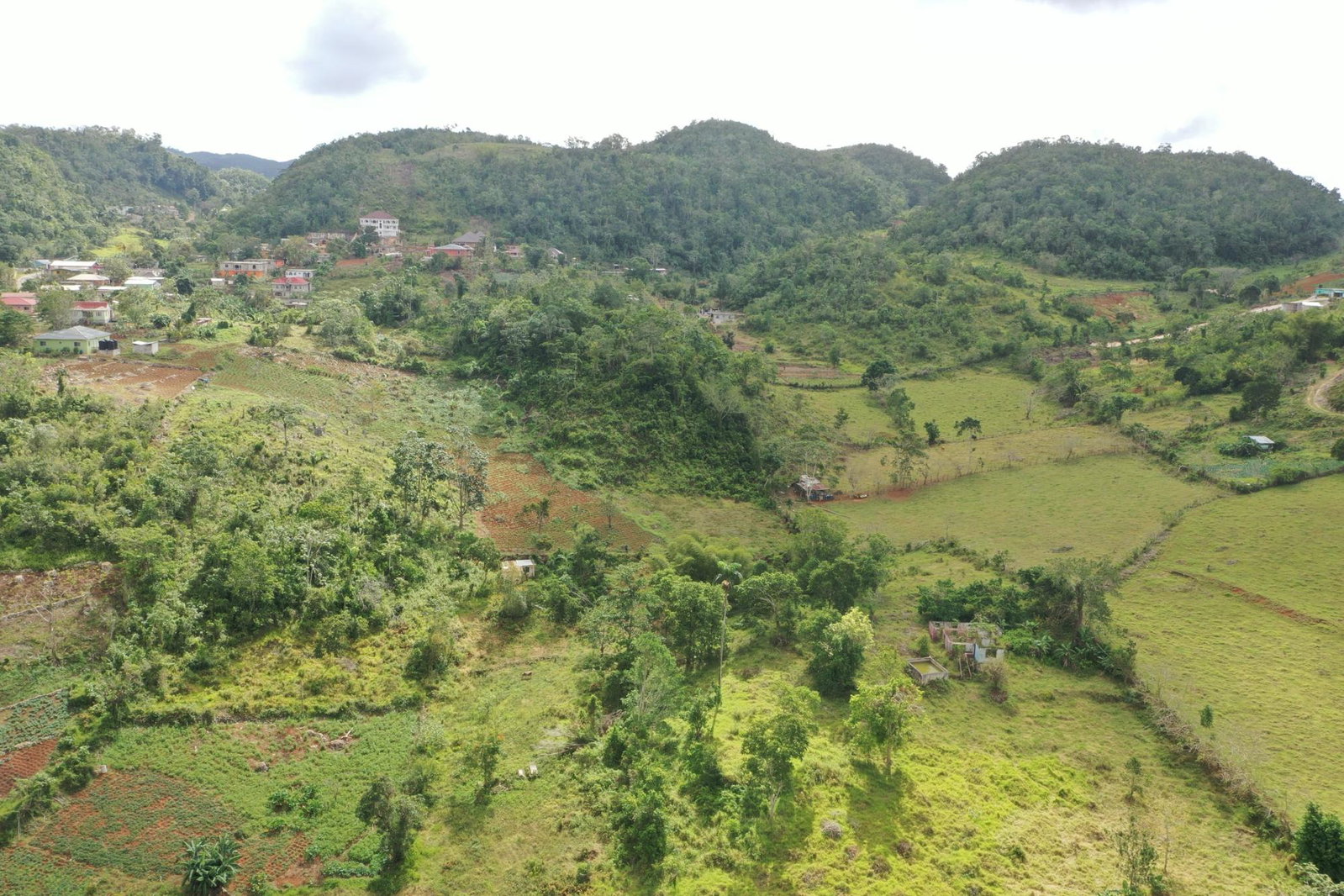 Twenty-Fifth image of Mizpah Spitzbergen in Walderston, Manchester, Jamaica - property is For Sale