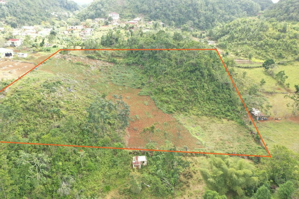 Twenty-Seventh image of Mizpah Spitzbergen in Walderston, Manchester, Jamaica - property is For Sale