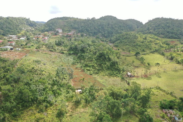 Twenty-Ninth image of Mizpah Spitzbergen in Walderston, Manchester, Jamaica - property is For Sale