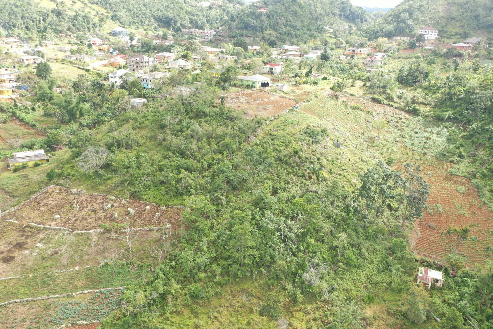 Thirtieth image of Mizpah Spitzbergen in Walderston, Manchester, Jamaica - property is For Sale