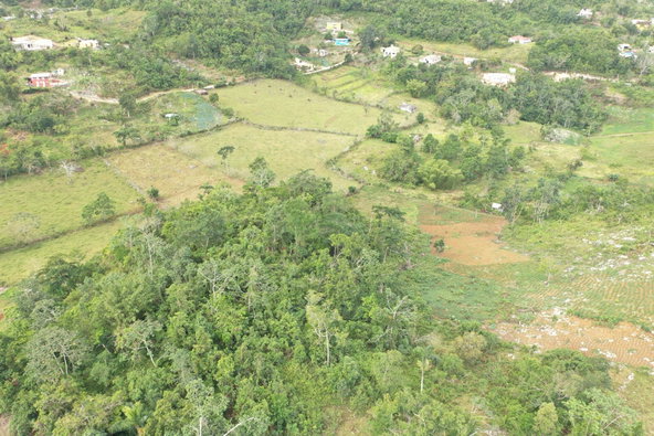 Seventh image of Mizpah Spitzbergen in Walderston, Manchester, Jamaica - property is For Sale