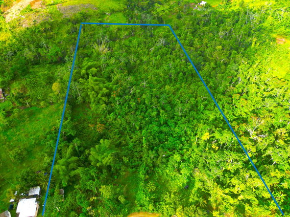 Twelfth image of 62 Phoenix Park in Moneague, St. Ann, Jamaica - property is For Sale