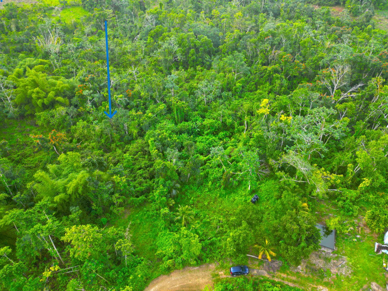 Fourteenth image of 62 Phoenix Park in Moneague, St. Ann, Jamaica - property is For Sale