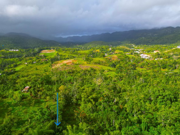 Ninth image of 62 Phoenix Park in Moneague, St. Ann, Jamaica - property is For Sale