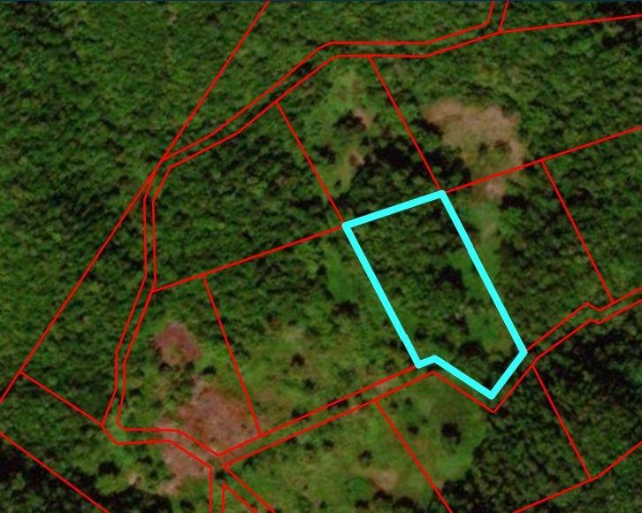 First image of Lot 198 Unity in Bunkers Hill, Trelawny, Jamaica - property is For Sale