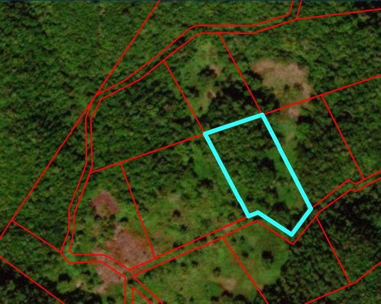 First image of Lot 198 Unity in Bunkers Hill, Trelawny, Jamaica - property is For Sale
