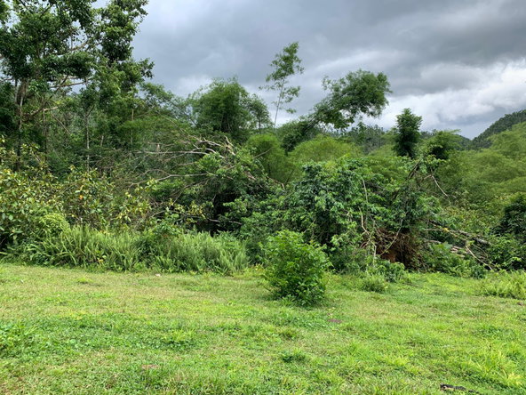 Third image of Lot 198 Unity in Bunkers Hill, Trelawny, Jamaica - property is For Sale