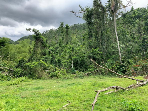 Fourth image of Lot 198 Unity in Bunkers Hill, Trelawny, Jamaica - property is For Sale