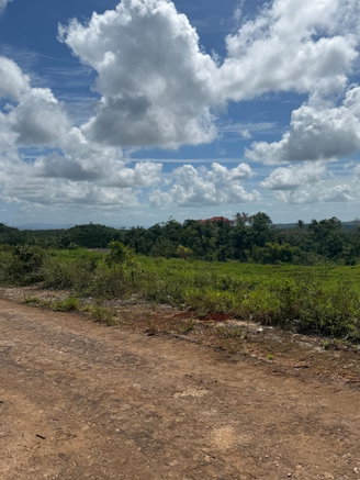 First image of Edinburgh in Newport, Manchester, Jamaica - property is For Sale