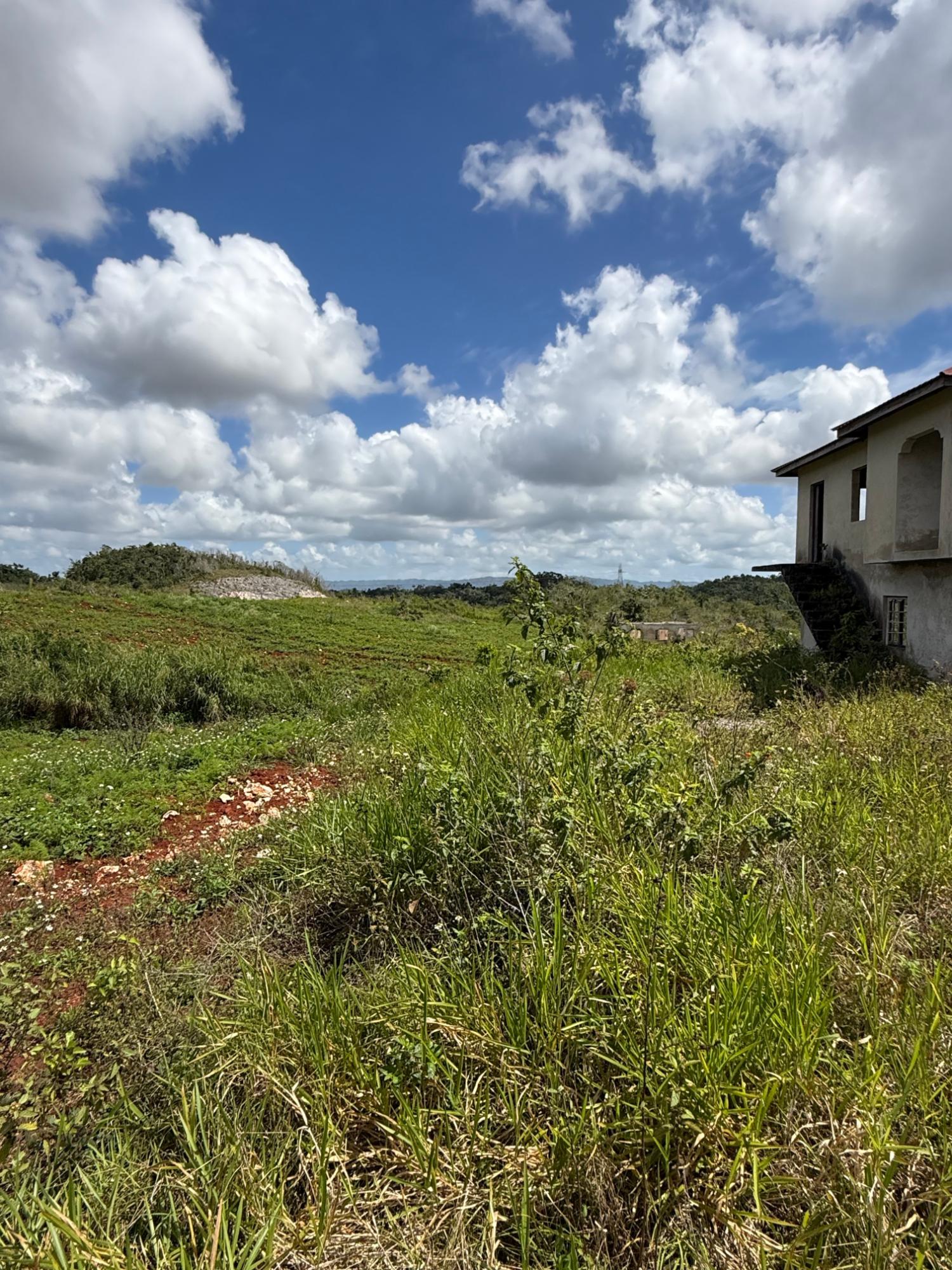 Tenth image of Edinburgh in Newport, Manchester, Jamaica - property is For Sale