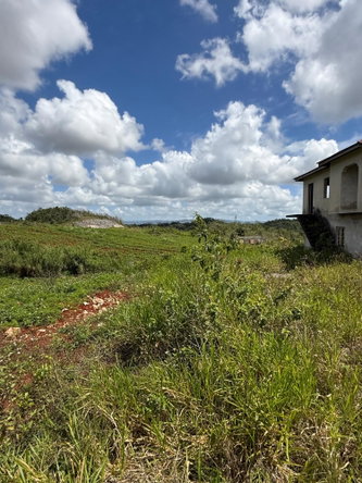 Tenth image of Edinburgh in Newport, Manchester, Jamaica - property is For Sale
