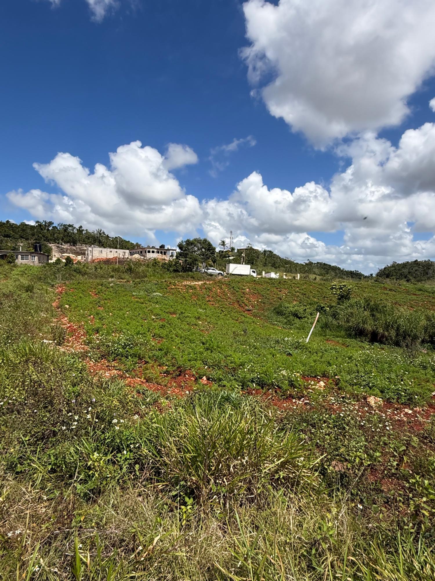 Eleventh image of Edinburgh in Newport, Manchester, Jamaica - property is For Sale