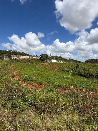 Eleventh image of Edinburgh in Newport, Manchester, Jamaica - property is For Sale