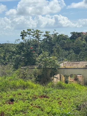 Twelfth image of Edinburgh in Newport, Manchester, Jamaica - property is For Sale