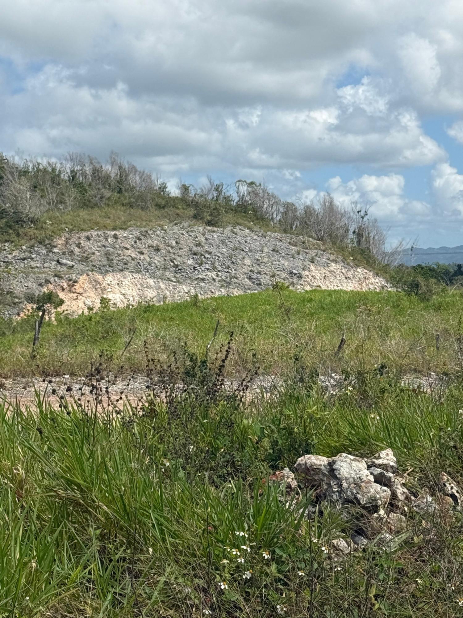 Fourteenth image of Edinburgh in Newport, Manchester, Jamaica - property is For Sale