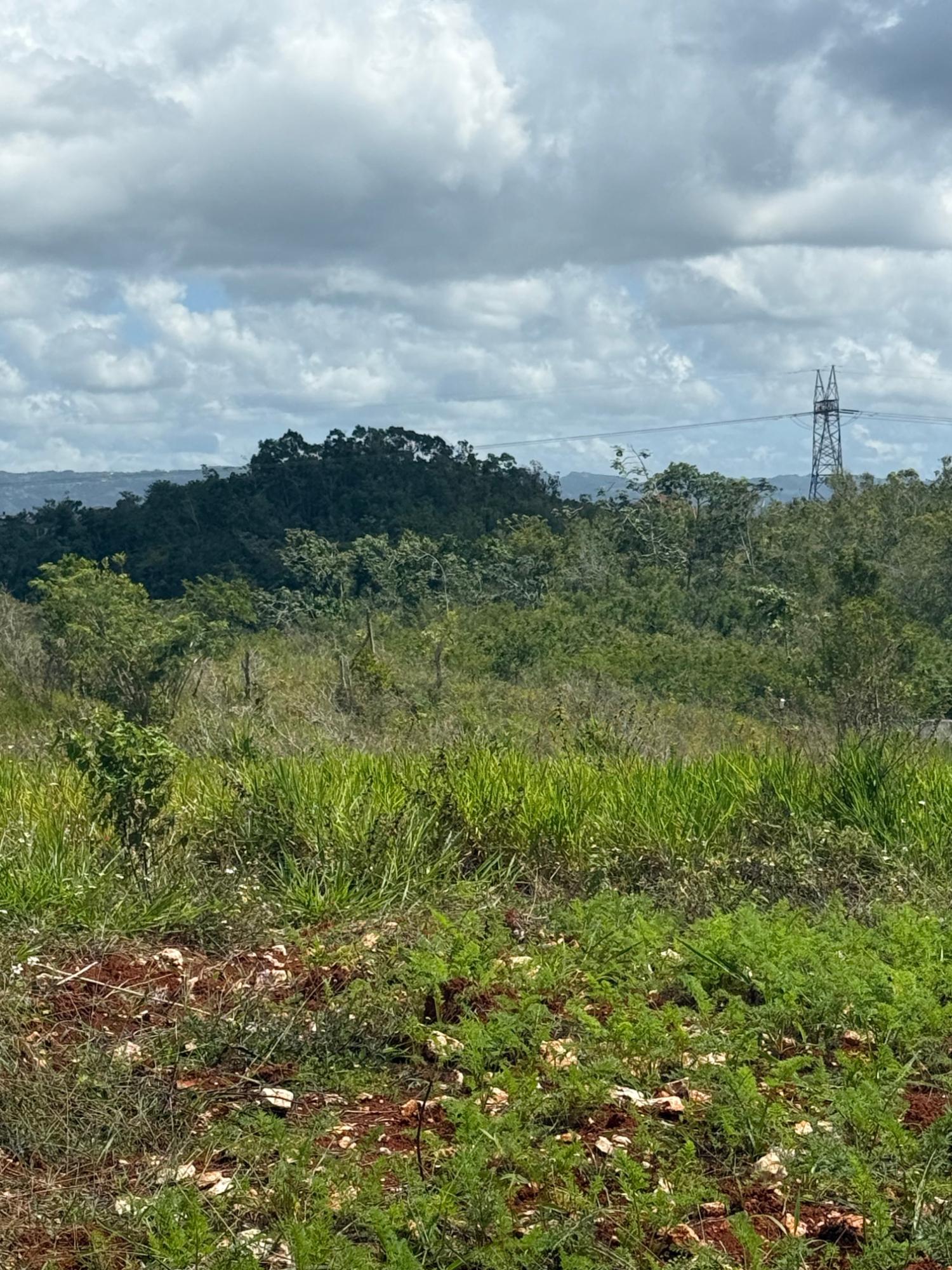 Fifteenth image of Edinburgh in Newport, Manchester, Jamaica - property is For Sale