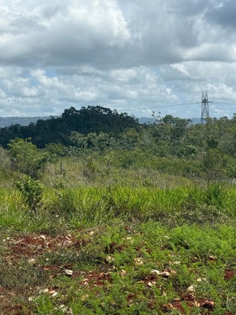 Fifteenth image of Edinburgh in Newport, Manchester, Jamaica - property is For Sale